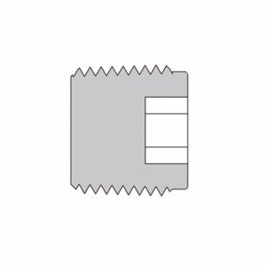 Полые шестигранные заглушки HJFLD-NPT2-SS из SS316 HJFLD-NPT2-SS  SS -PI-NS2   